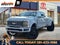 2026 Ford F-450 Platinum