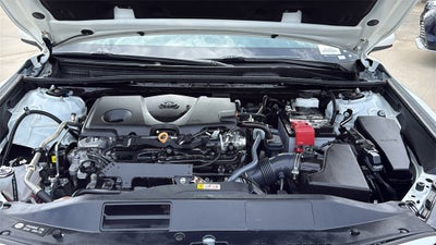 2024 Toyota CAMRY LE
