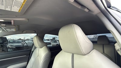 2023 Toyota CAMRY XLE