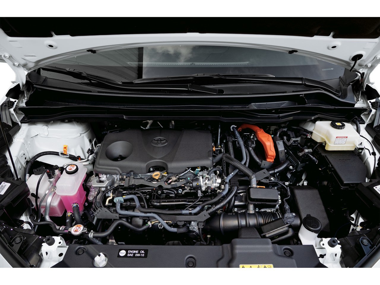 2026 Toyota Sienna Limited 7 Passenger