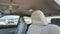 2010 Toyota TACOMA PRERUNNER PreRunner