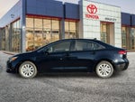 2026 Toyota Corolla Hybrid XLE