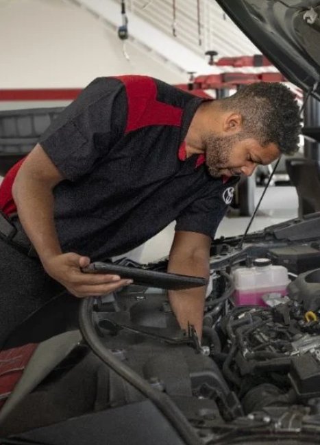 Servicio Excepcional